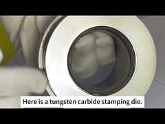 Чжучжоу Сансин Цементированный Карбид - плесень